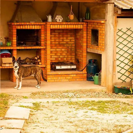 Casa Do Quintal Σπίτι διακοπών Maiorga